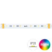 STRIP LED CC30096 4IN1 19.2W/MT IP20 24V RGB+6000K