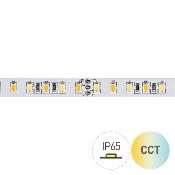 STRIP LED CC60080 16W/MT 24V CCT 2700-6000K IP65-TR