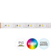 STRIP LED CC42090 18W/MT 24V RGB+6000K 110LM/W IP65-TR